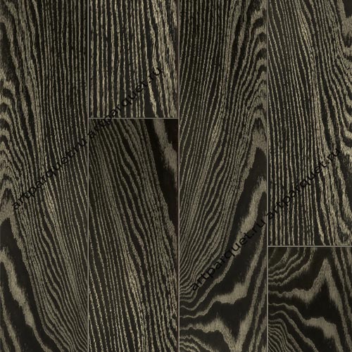 ZEBRA 1