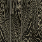 Zebra 3